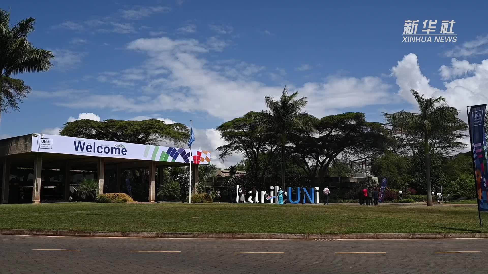 浙江经验亮相非洲 中非共探绿色能源合作新路径