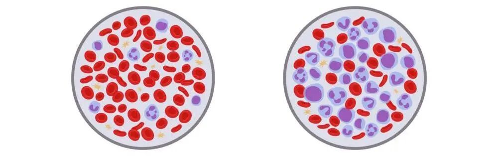 图库版权图片，转载使用可能引发版权纠纷