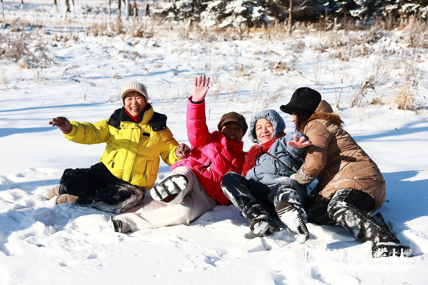 图集丨长春伊通河畔现雾凇奇观