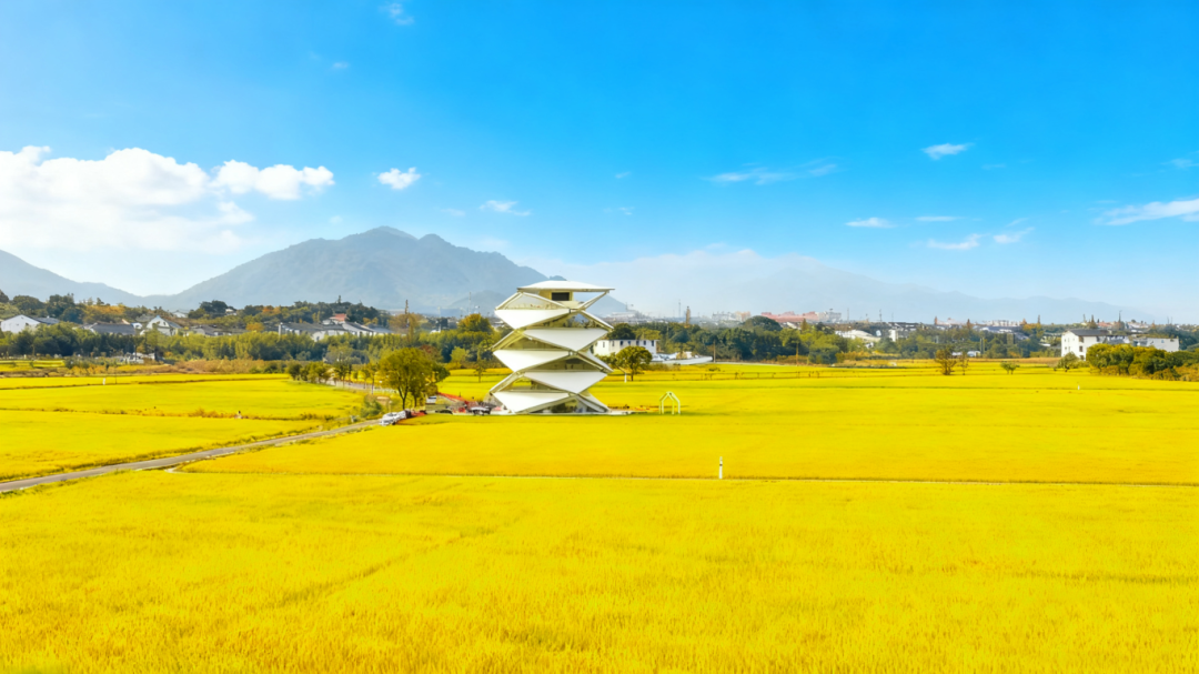 奉化，何以吸引青年入乡？