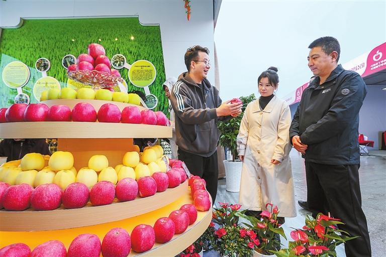 2025年中国苹果产销峰会暨静宁苹果招商推介大会在平凉市崆峒区开幕　新甘肃&middot;甘肃日报通讯员　郑兵