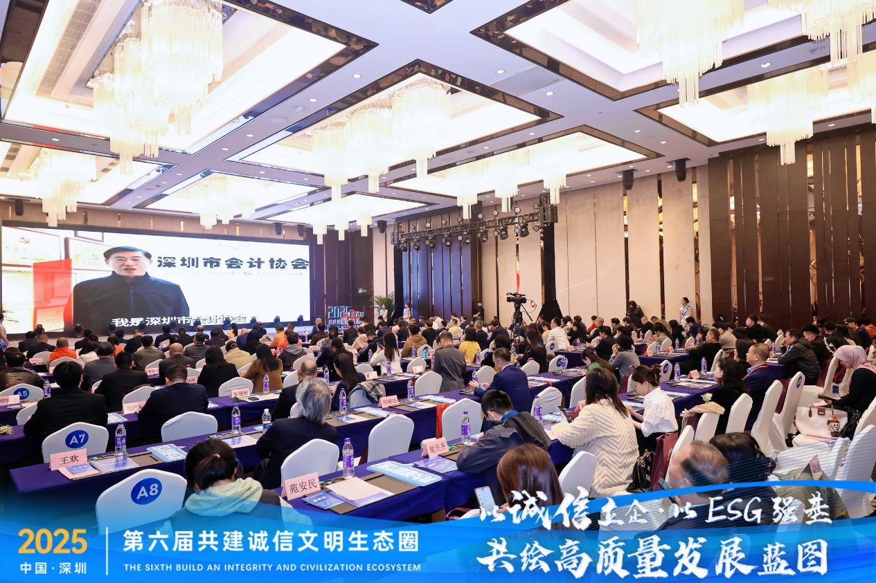 图：深圳市会计协会荣誉会长 成放晴