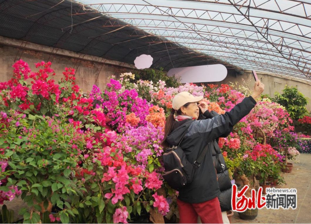 图为展会上游客正在打卡拍照。朱子丽摄