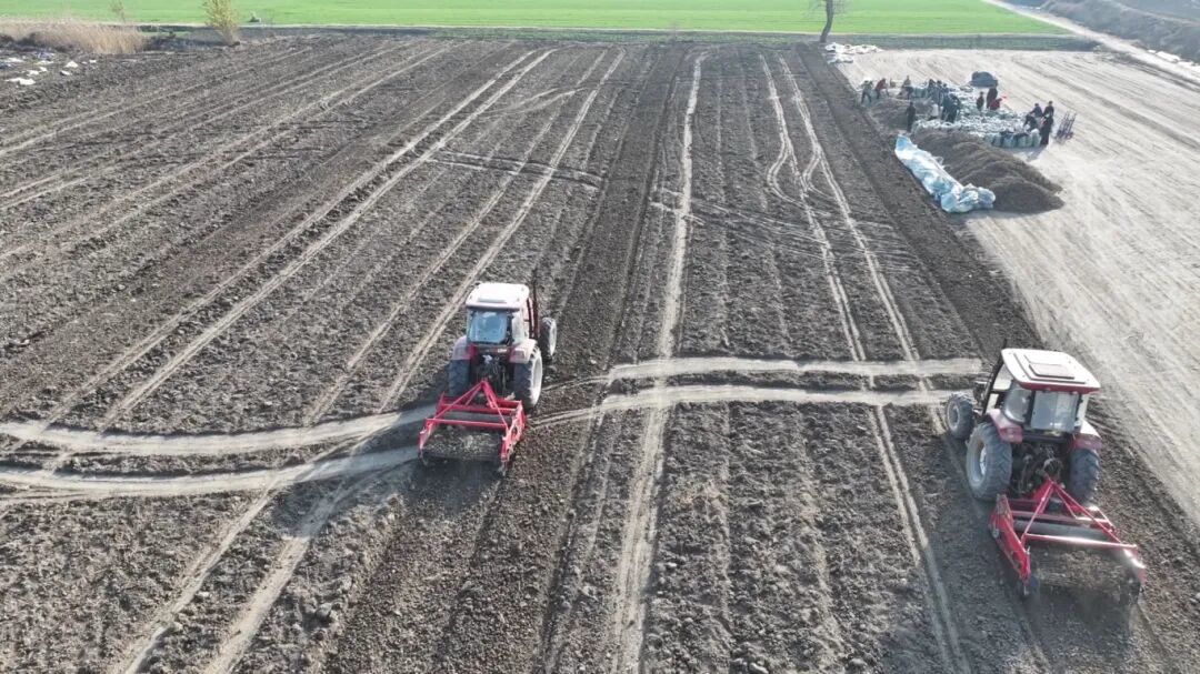 安徽阜南：中草药丰收富乡邻 特色产业赋能乡村振兴[00-07-25][20251212-153339706].jpg