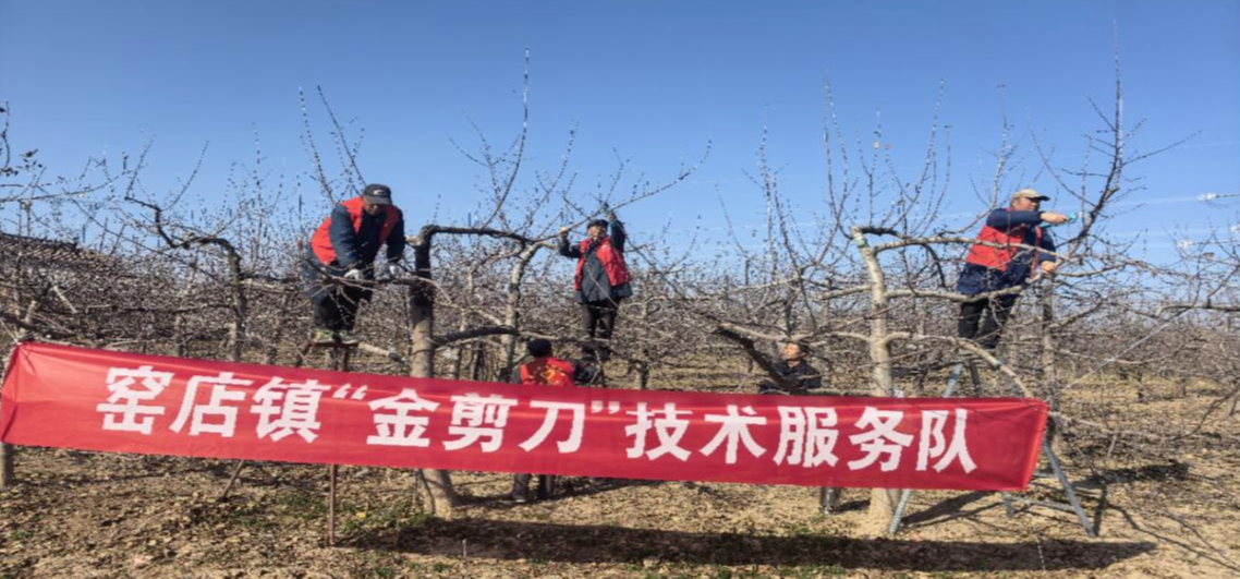 微信图片_2025-12-16_083612_831