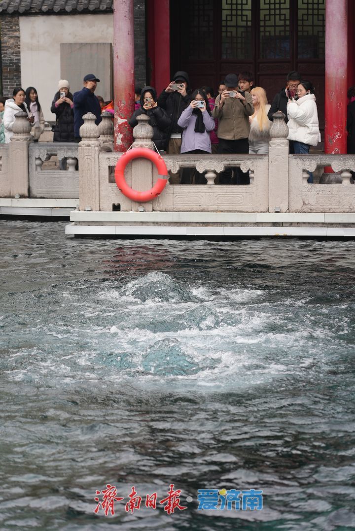 一年四季 泉在济南丨雨润泉城 趵突泉景色如画引客来