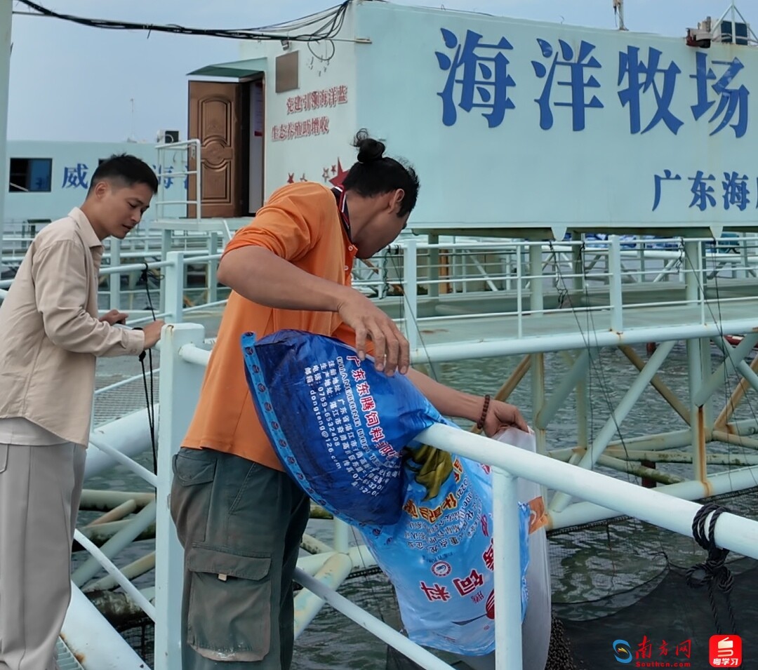 黄建斌正在投喂。