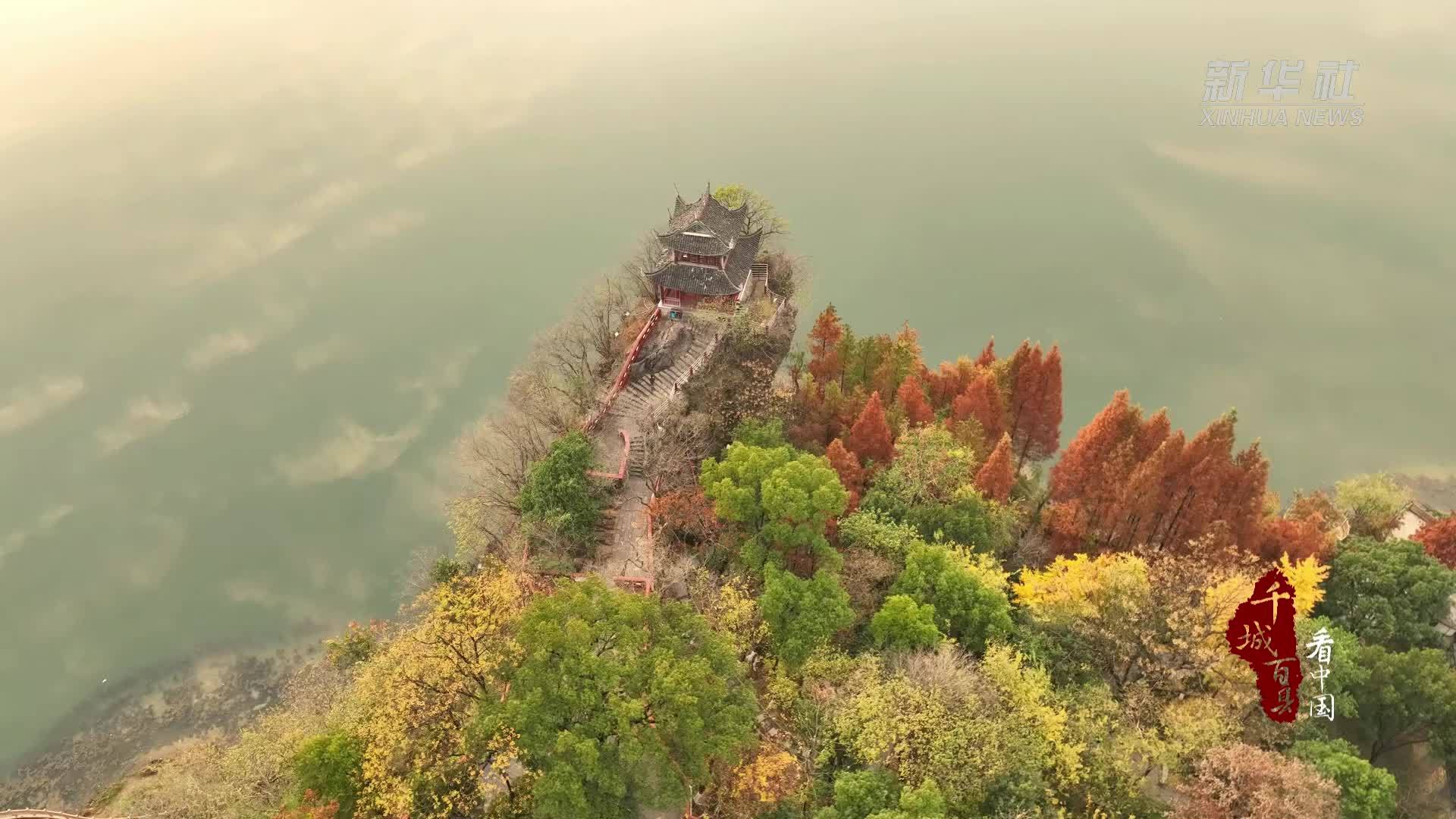 千城百县看中国｜湖南邵阳：双清公园 水杉如画