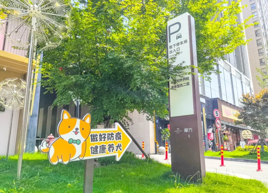 3天，6万人！“毛孩子”撬动“大消费”