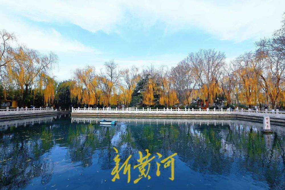 一年四季 泉在济南｜杨柳轻垂、锦鲤欢游 冬日珍珠泉美如画卷