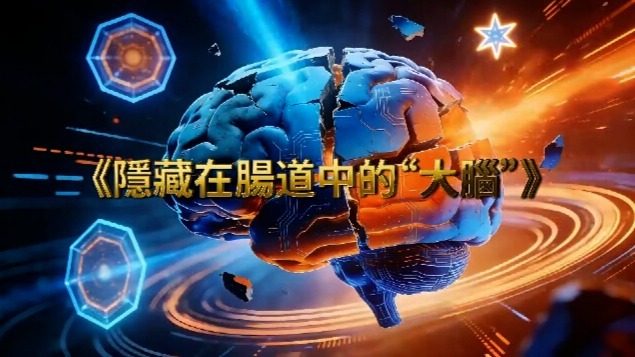 隐藏在肠道中的“大脑”