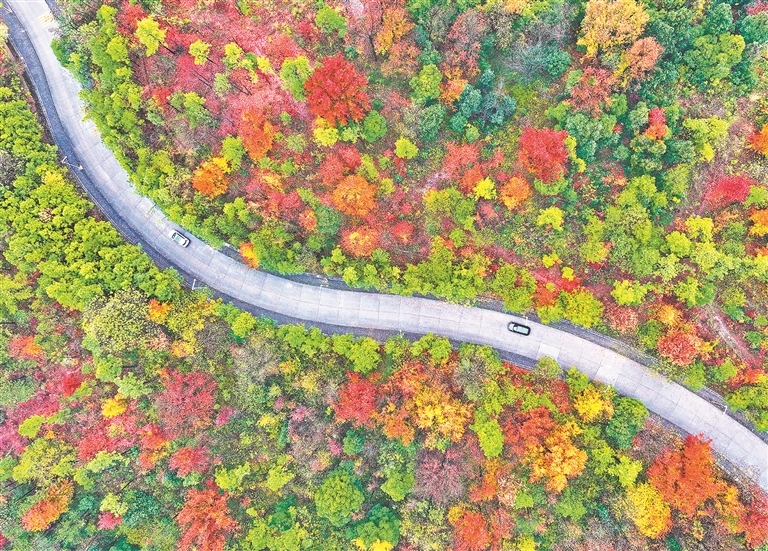 泰和县：倏忽斑斓间（图）