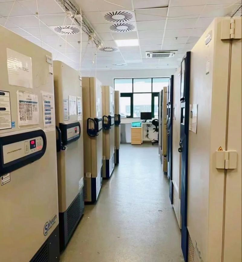 2025中国出海品牌100强指数发布，海尔蝉联榜单三强