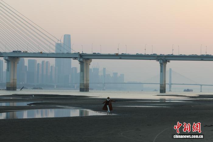 长江武汉段水位持续消退 大片滩涂露出江面