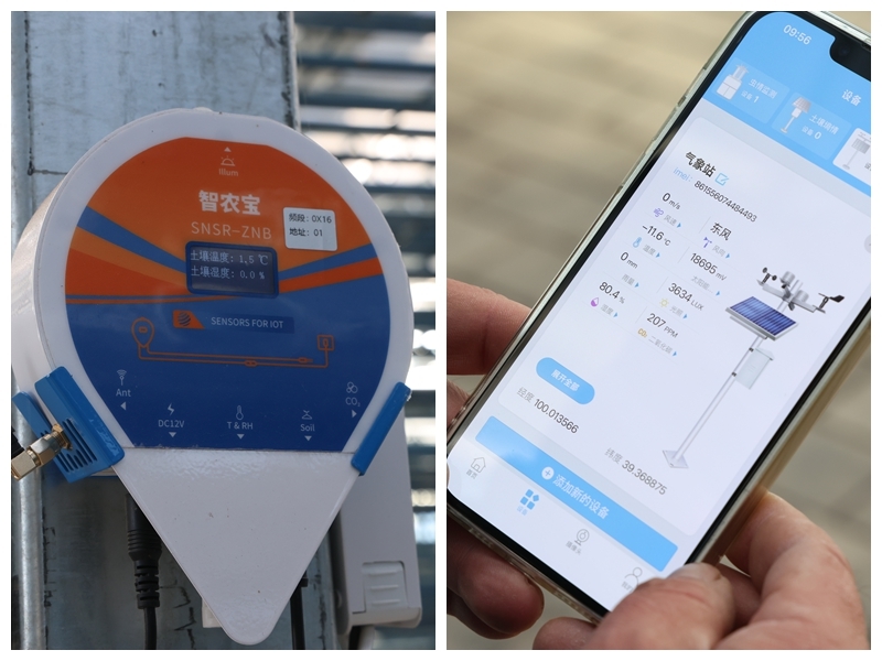 田间地头开"千里眼""顺风耳"　甘肃临泽玩转智慧农业