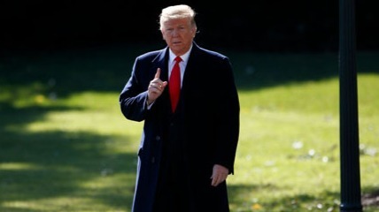 专家：美国企业家用“特朗普主义”反击特朗普政策