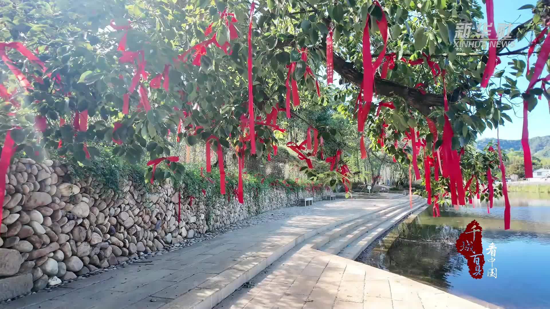 千城百县看中国｜福建光泽：溯溪寻古脉