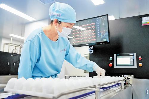 12月18日，位于临空经济区（廊坊）的吉诺卫创新疫苗生产基地工作人员照检鸡胚。