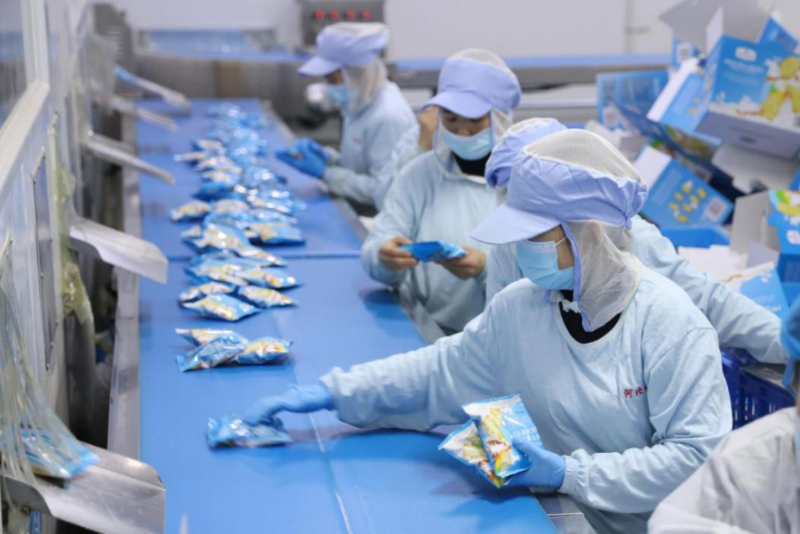 2025年2月19日,河北邱县的食品产业聚集区的生产车间。新华社记者 董笑坤 摄