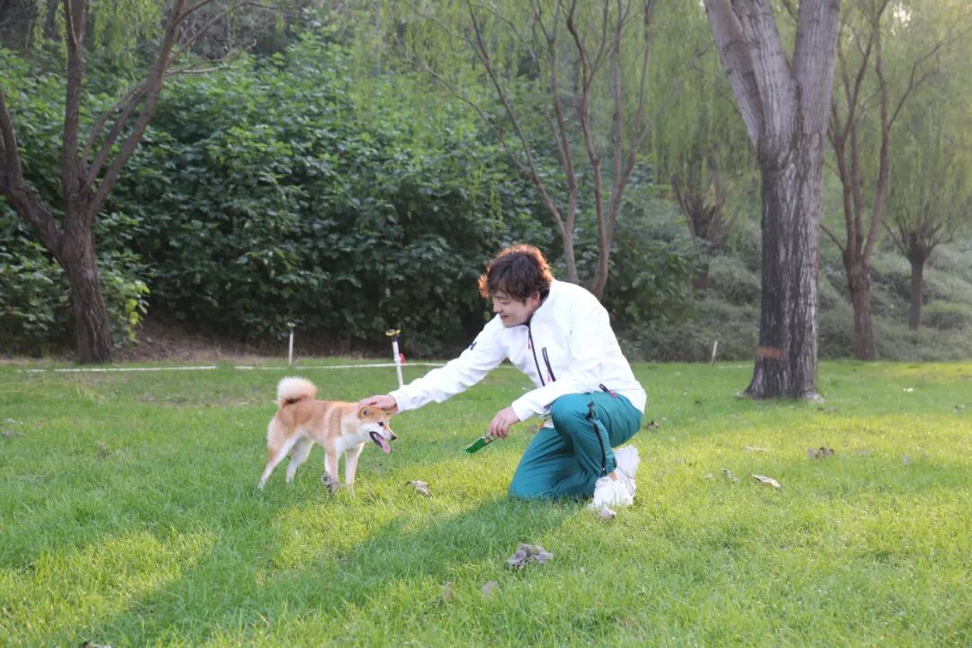 图注:太平河片区打卡