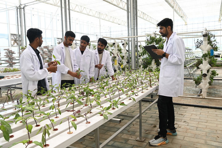 2025年7月2日,在甘肃省张掖市山丹县培黎职业学院,巴基斯坦留学生在现代农业产教融合实践基地进行实操练习。新华社记者 范培珅 摄