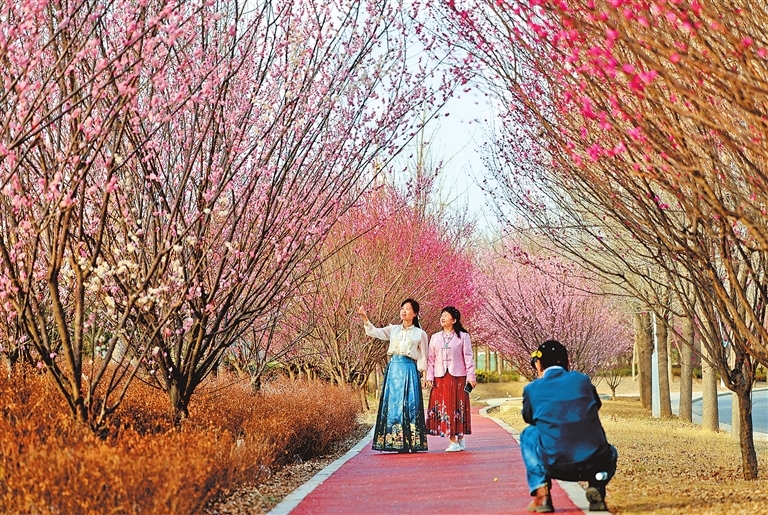 2020年3月11日，郑州贾鲁河岸边公园的花开了。