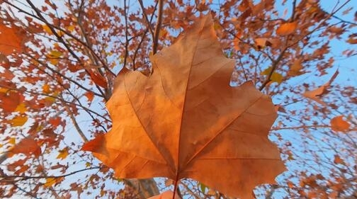 大疆Osmo Action 6固件升级:正式支持8K视频