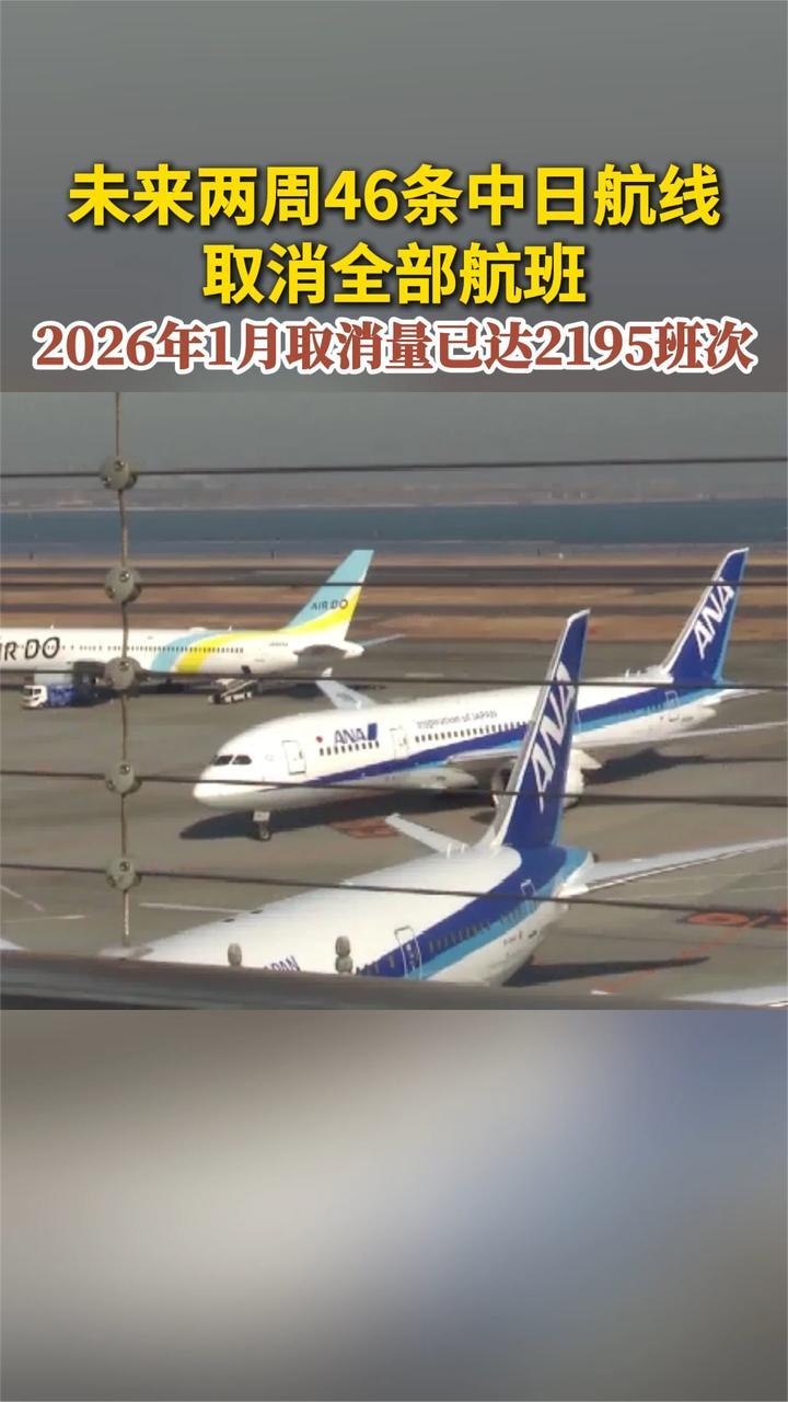 未来两周46条中日航线取消全部航班 2026年1月取消量已达2195班次