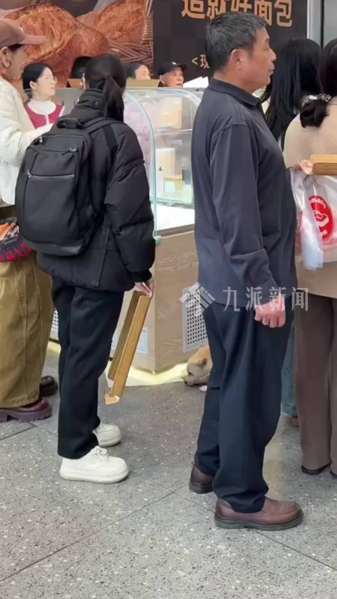 网红面包“手感麦夫”致歉：暂停所有门店运营15天