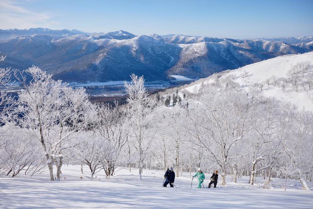 在北海道,解锁冰雪的N种玩法!