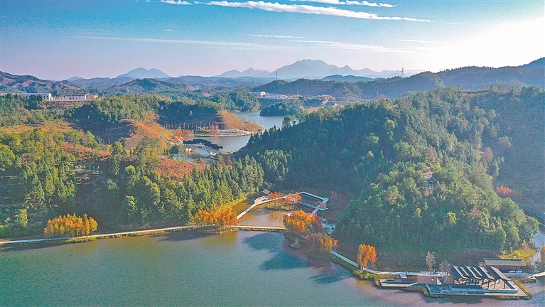 定南县：斑斓景致入画来（图）