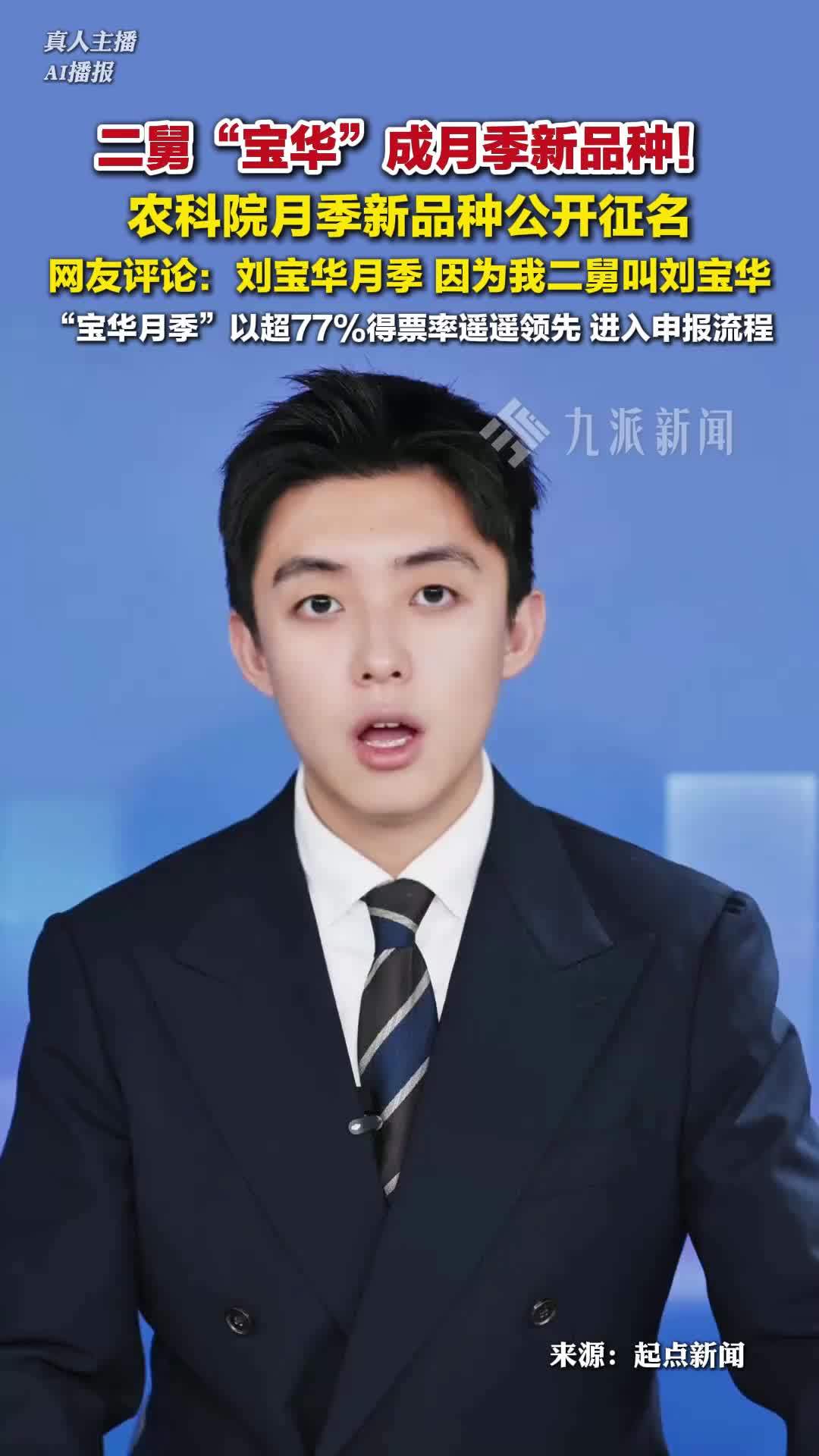 二舅宝华成月季新品种，已进入申报流程