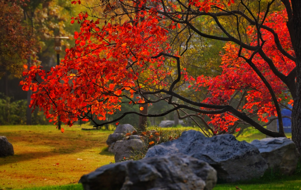 坐着地铁，逛吃泉城！济南地铁三线齐发，这份“漫游指南”请收好