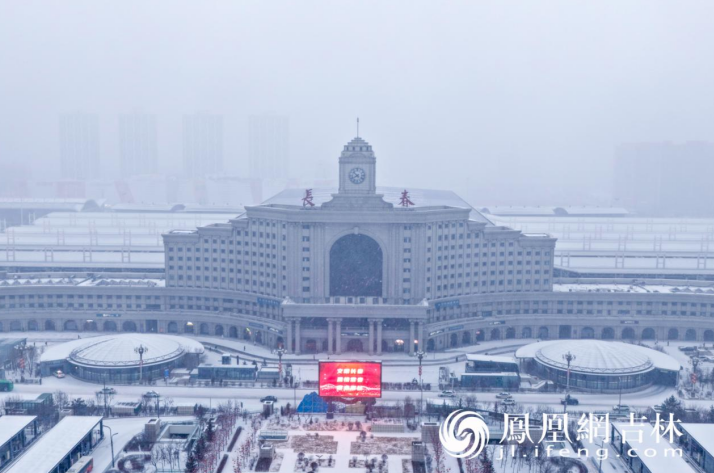 图集|琼芳忽落长春，满城尽白头