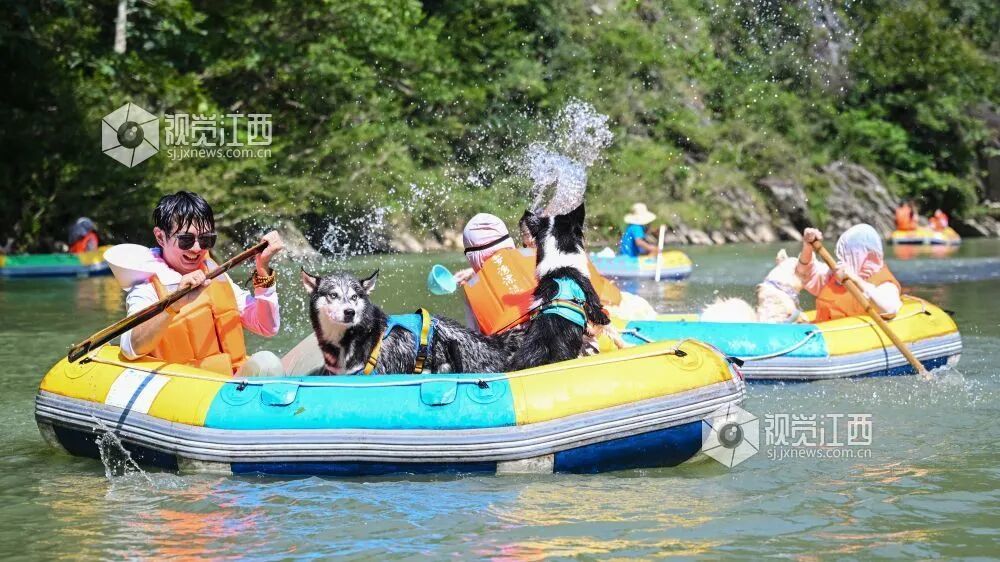 游客们带着萌宠一起体验漂流的乐趣(张翰林 邹俊其 摄)