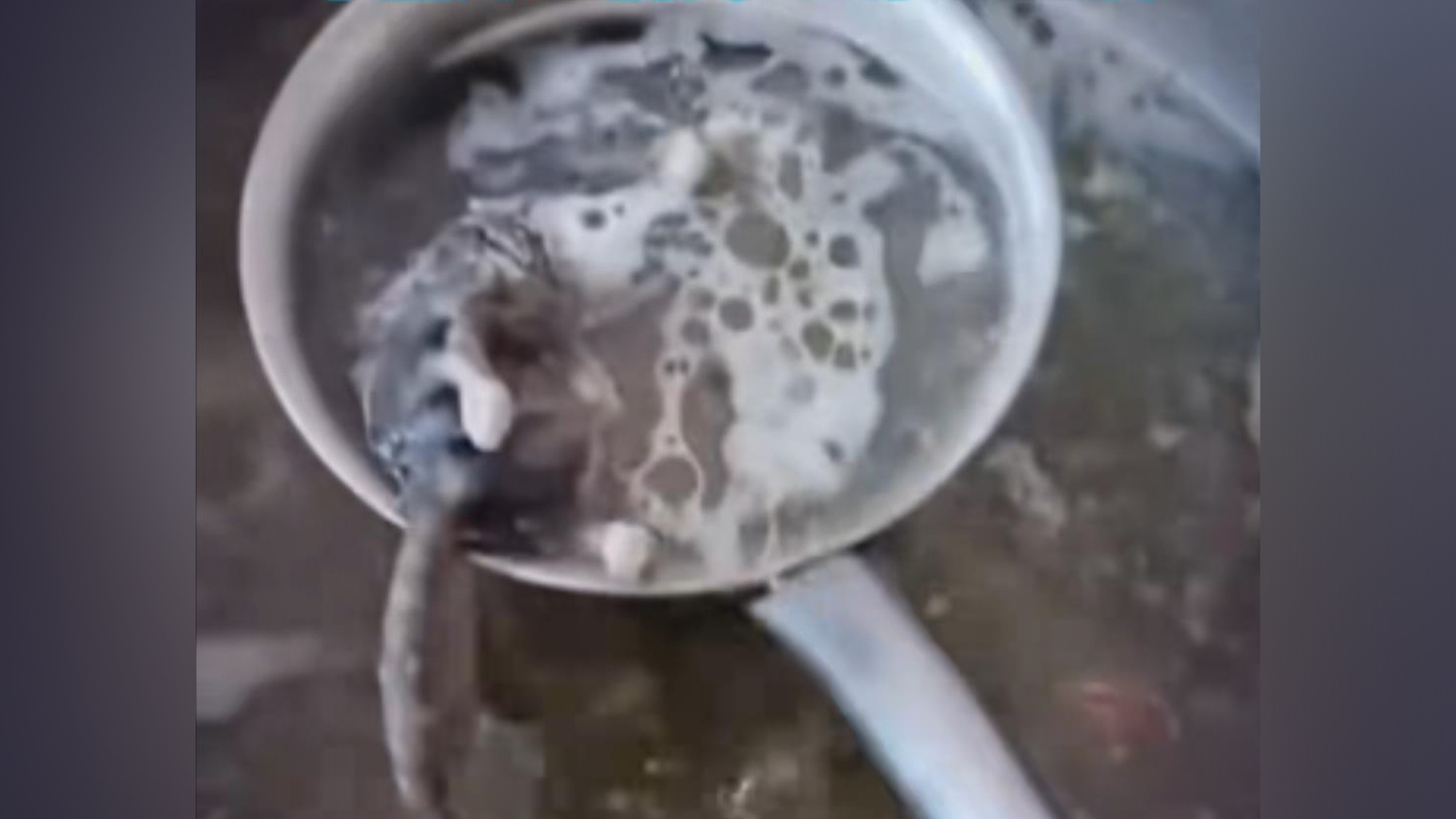 广西一早餐店顾客加汤捞出死老鼠，市监局：属实，已停业整改