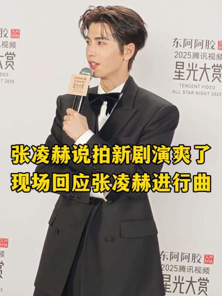 张凌赫说拍新剧拍爽了 现场回应张凌赫进行曲 #张凌赫 #张凌赫进行曲 #张凌赫这一秒过火 #星光大赏群访 #星光大赏