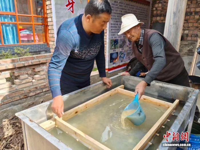 图为智秀才让（左一）与父亲（右一）将捣好的纸浆倒入水槽中特制的纸框进行抄纸　马保真　摄