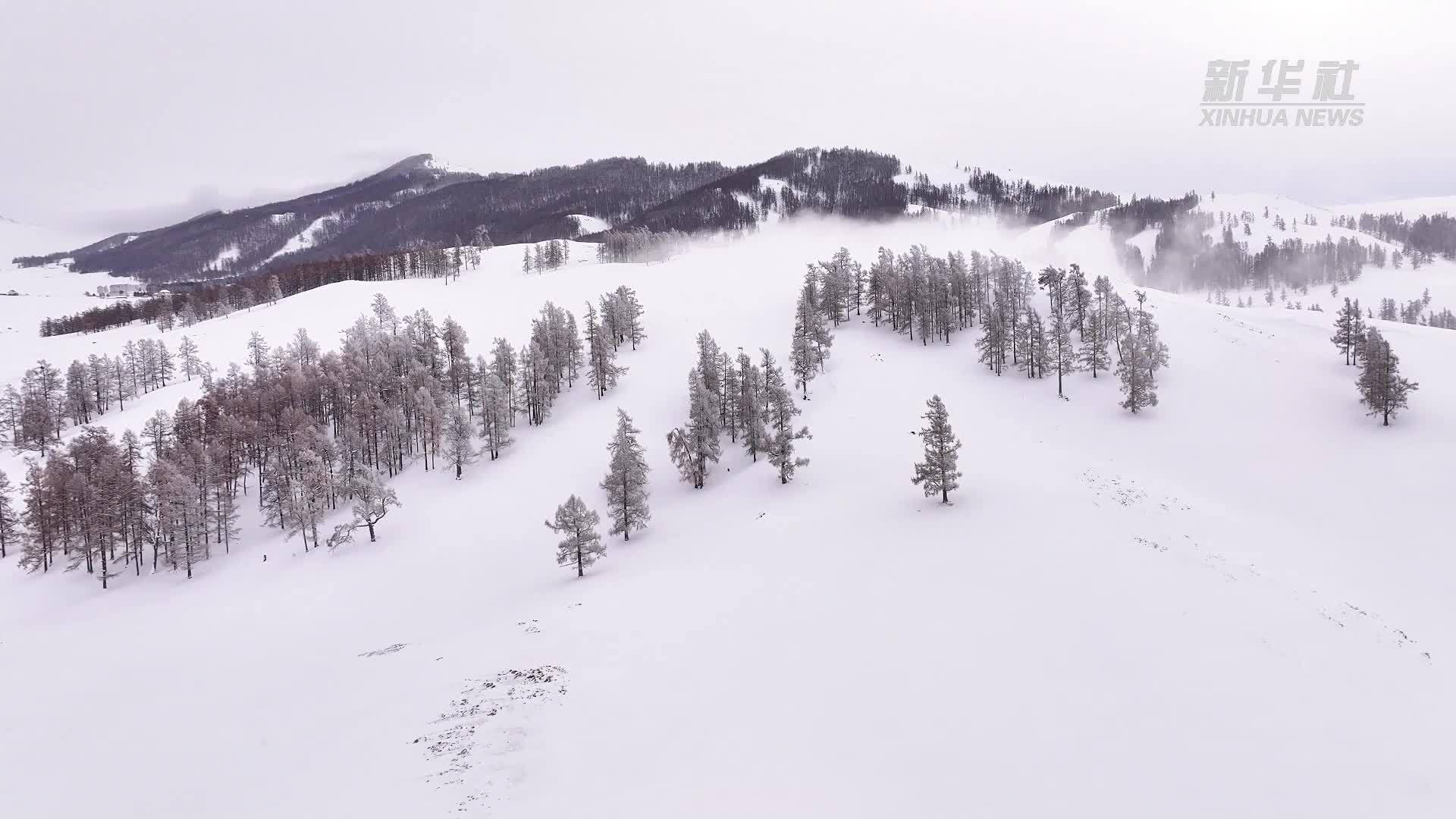 千城胜景｜哈巴河：雾凇美景宛如水墨画