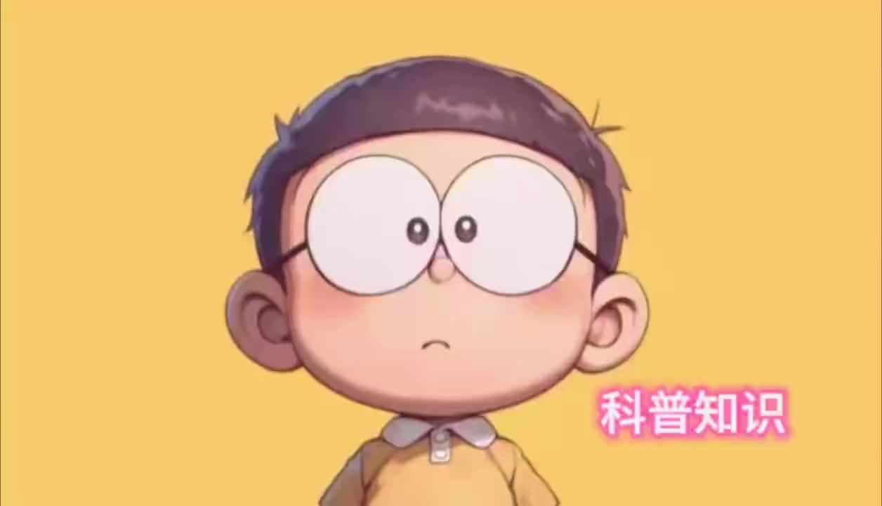 科普知识“垃圾焚烧”