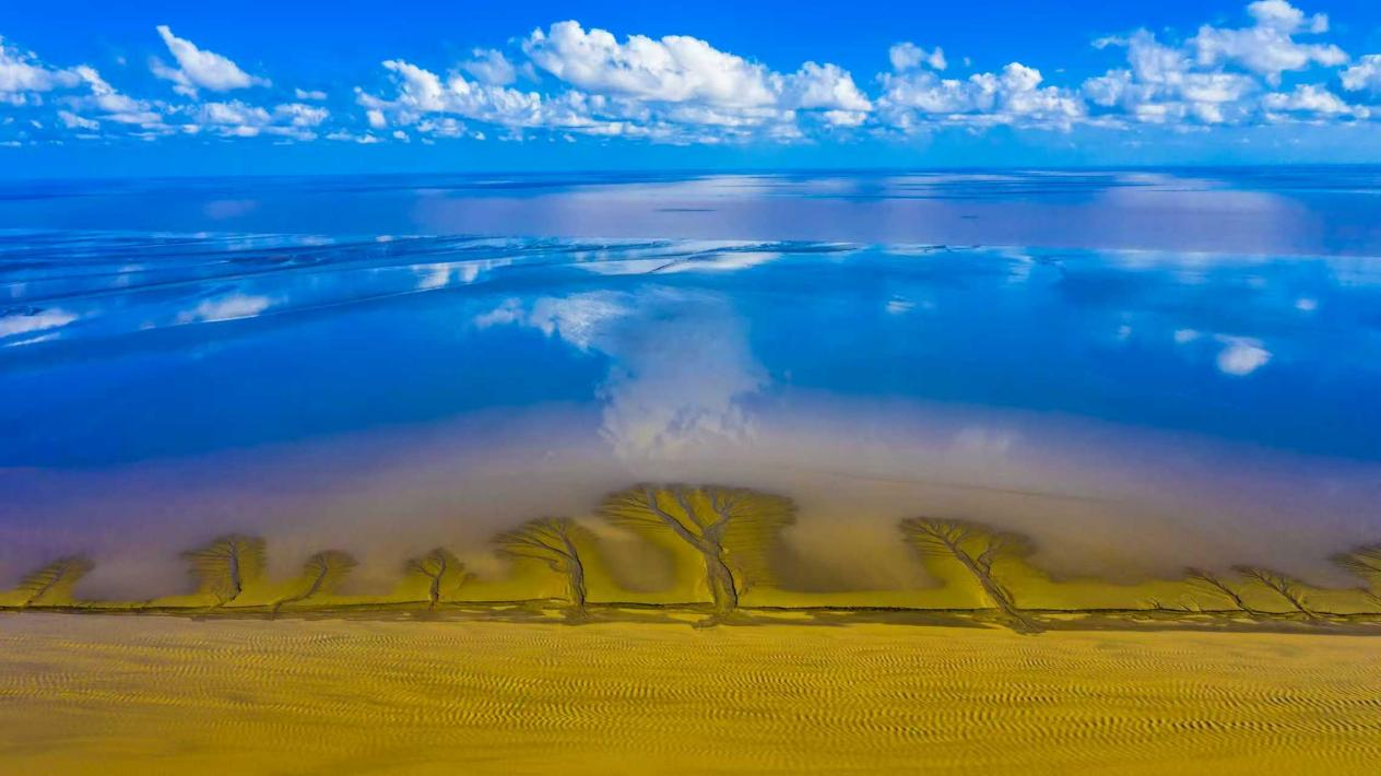 江苏东台｜条子泥湿地保护——从中国样本到国际范本