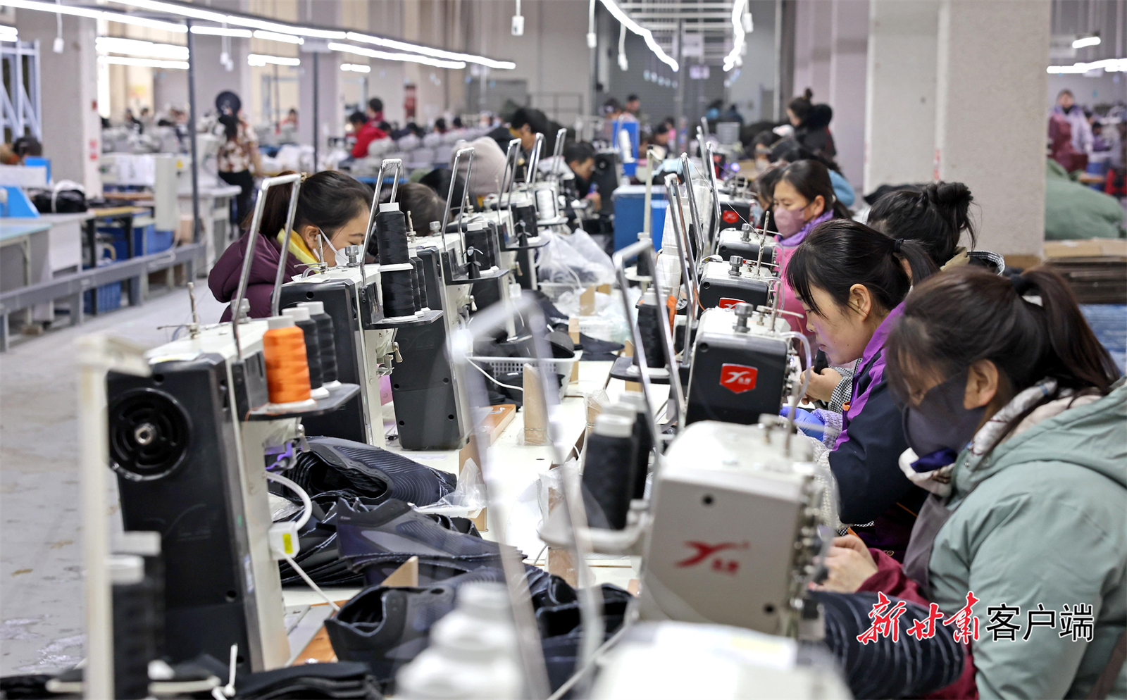 甘肃陇山驰体育用品有限公司的工人们正在生产 本文图片均由新甘肃·甘肃日报记者高樯摄
