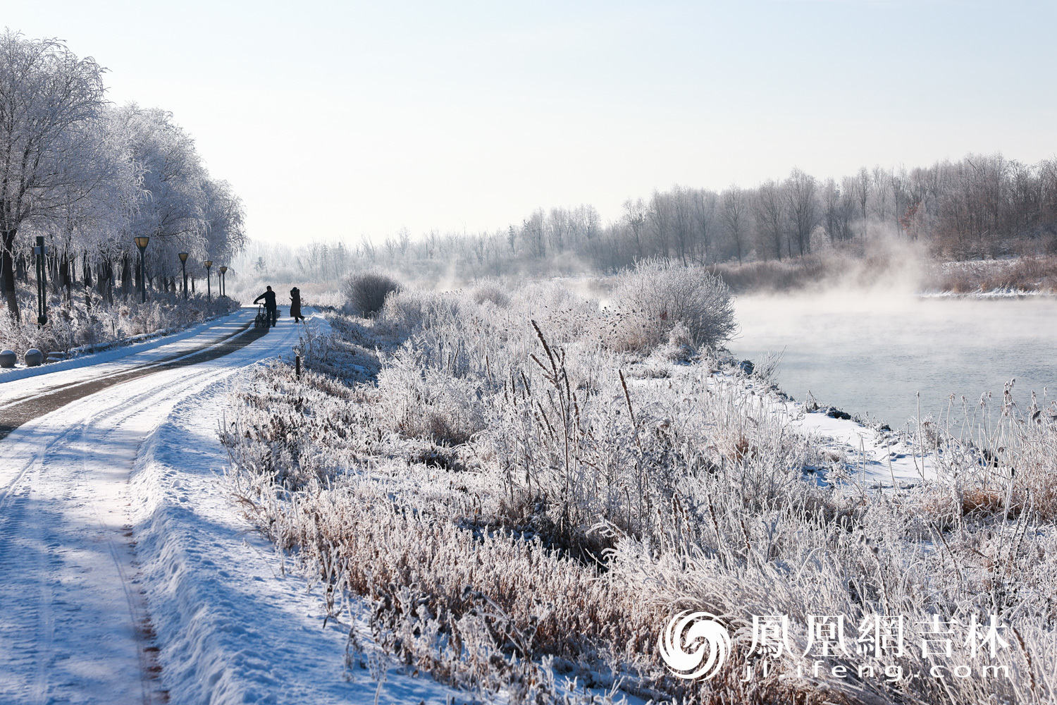 图集丨长春伊通河畔现雾凇奇观
