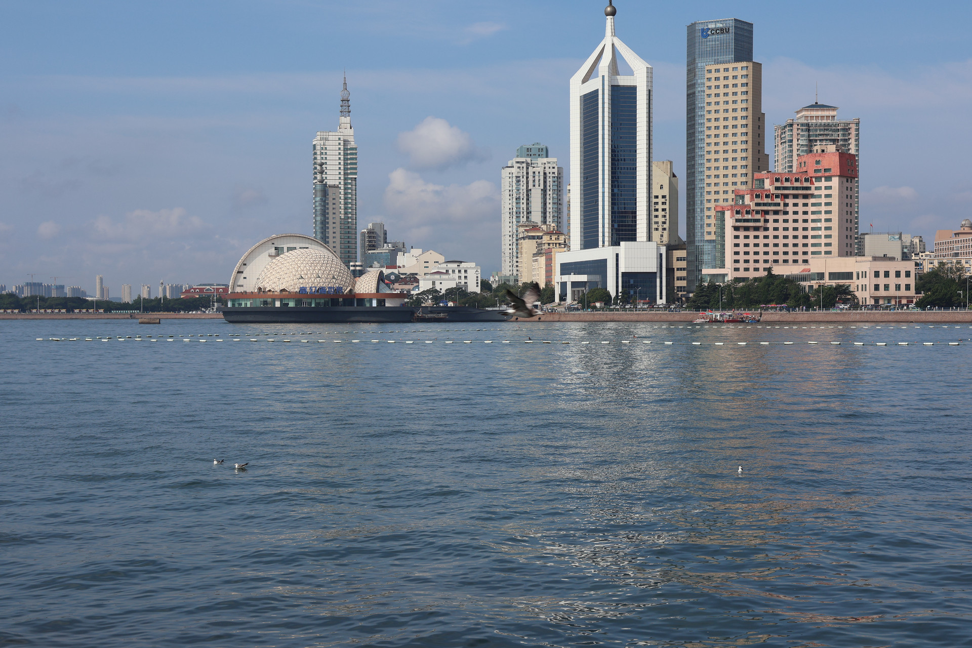 十大攻略之“山海鸥遇” 一日漫游解锁崂山冬日浪漫