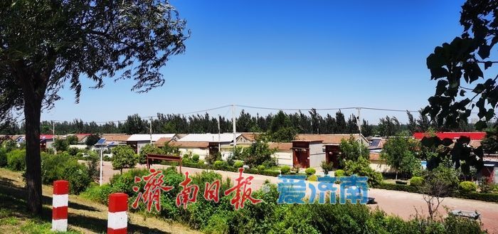 天桥区桑梓店街道刘庙子村街景