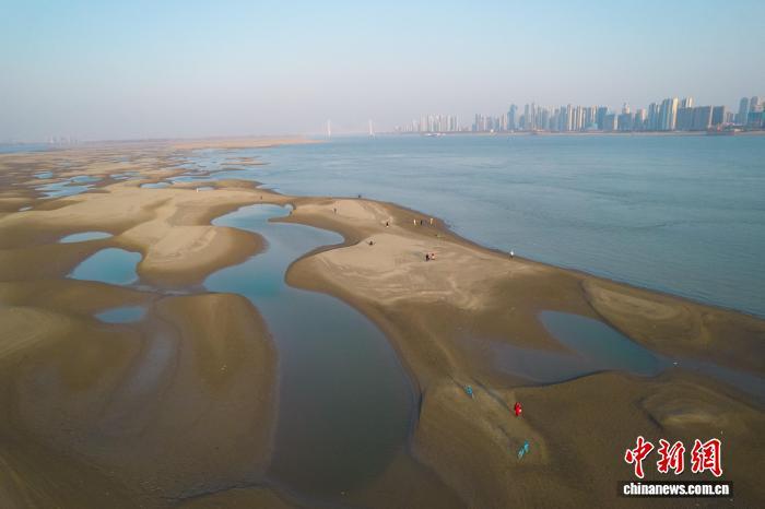 长江武汉段水位持续消退 大片滩涂露出江面