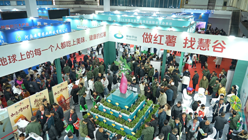 全链赋能，薯写新篇：第七届中国甘薯产业博览会圆满收官-展超网