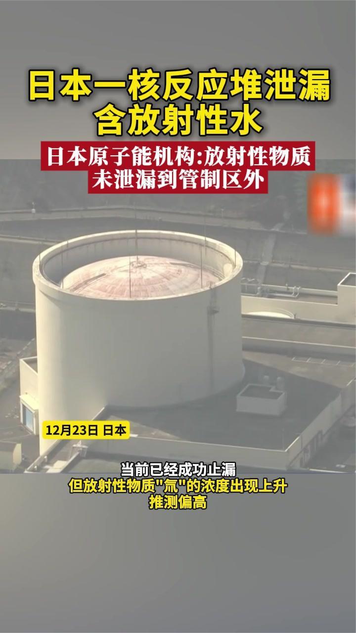 日媒：日本一核反应堆泄漏含放射性水 日本原子能机构回应