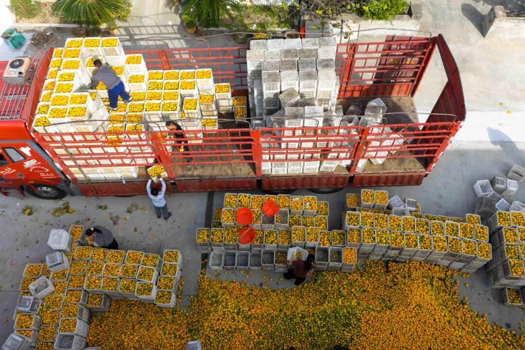 象山的温暖，藏在这些镜头里