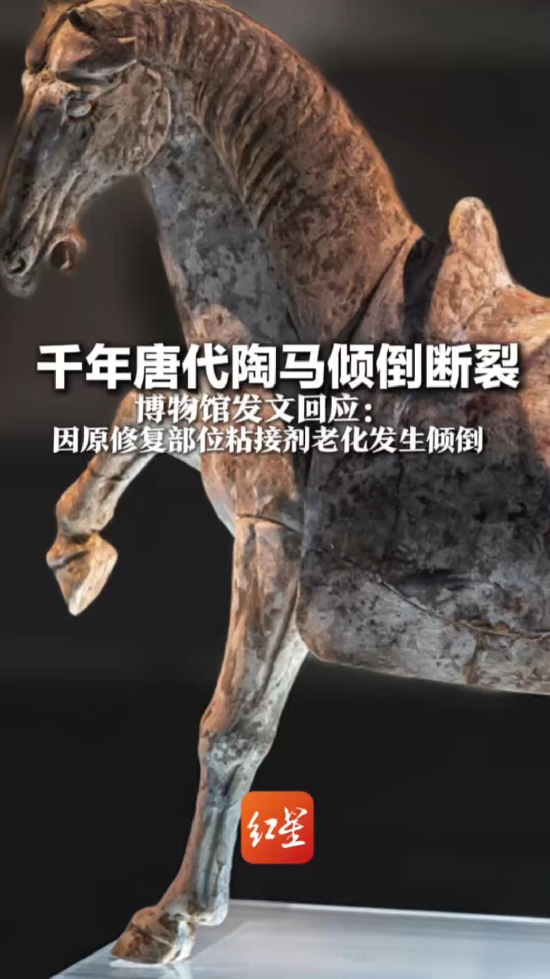 千年唐代陶马倾倒断裂！洛阳博物馆发文回应：因原修复部位粘接剂老化发生倾倒 已进行保护性存放，待专业修复